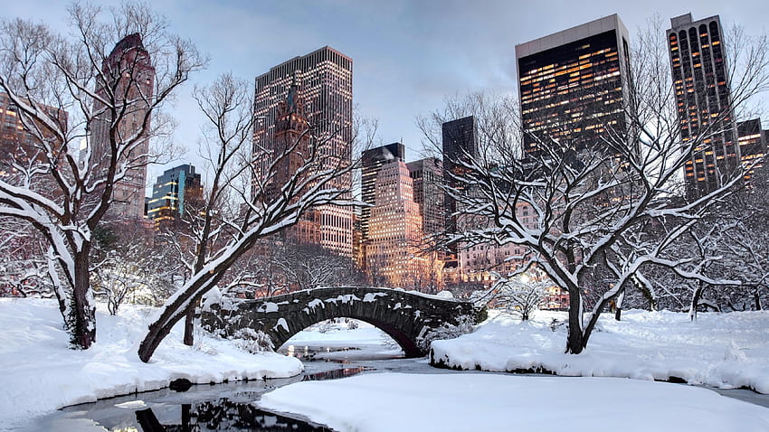เมือง • หิมะ ฤดูหนาว สหรัฐอเมริกา เมืองนิวยอร์ก ต้นไม้ ท้องฟ้า อาคาร • For You The Best For & Mobile New York City Lights Winter วอลล์เปเปอร์ HD