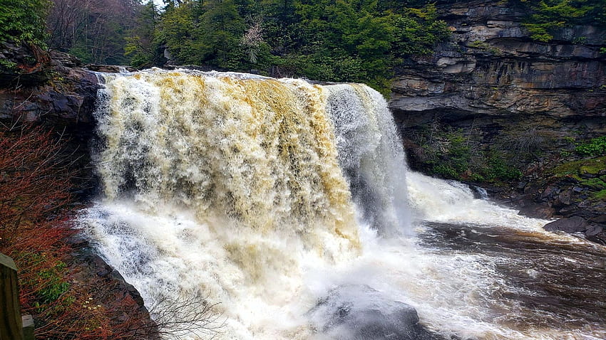 Blackwater Falls, Davis, West Virginia, river, rocks, cascade, forest, usa HD wallpaper