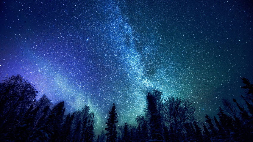 the milky way, space, forest, trees, stars, mystery, space resolution . Sky , Starry night sky, Magic aesthetic HD wallpaper