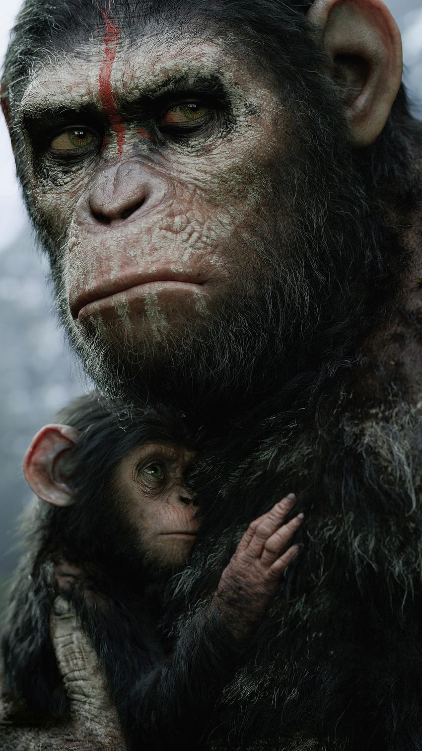Film Dawn of the Planet of the Apes (2022). wallpaper ponsel HD