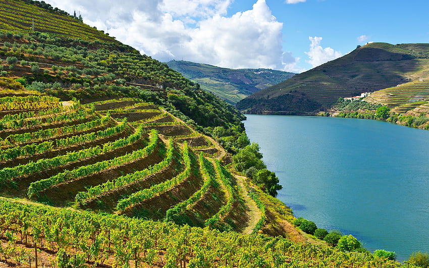 Beautiful Nature View of Douro River in Portugal ., Portugal Landscape HD wallpaper