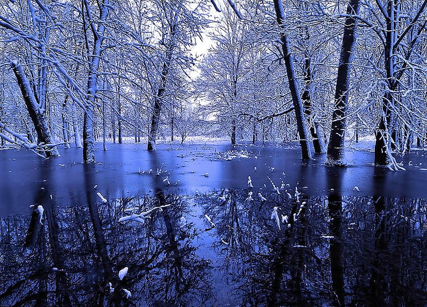 Szafirowy zimowy kraj, zima, niebieski, śnieg, drzewa, przyroda, cudowne, odbicia, staw Tapeta HD