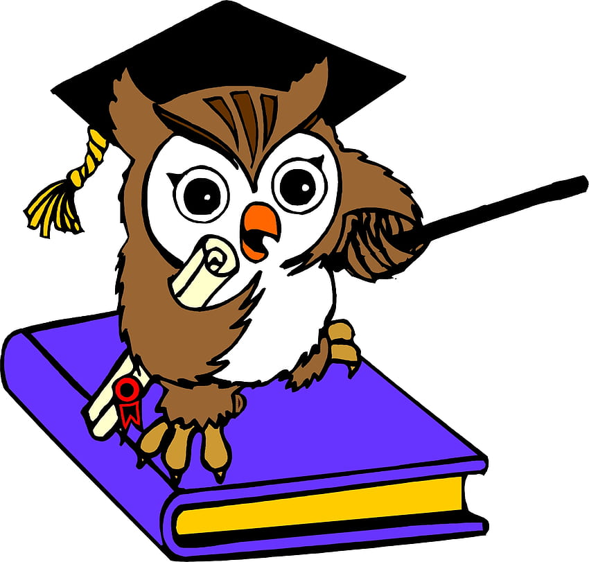 Computer Screen Background Education Owl - Cartoon Of Education, Education Cartoon HD wallpaper
