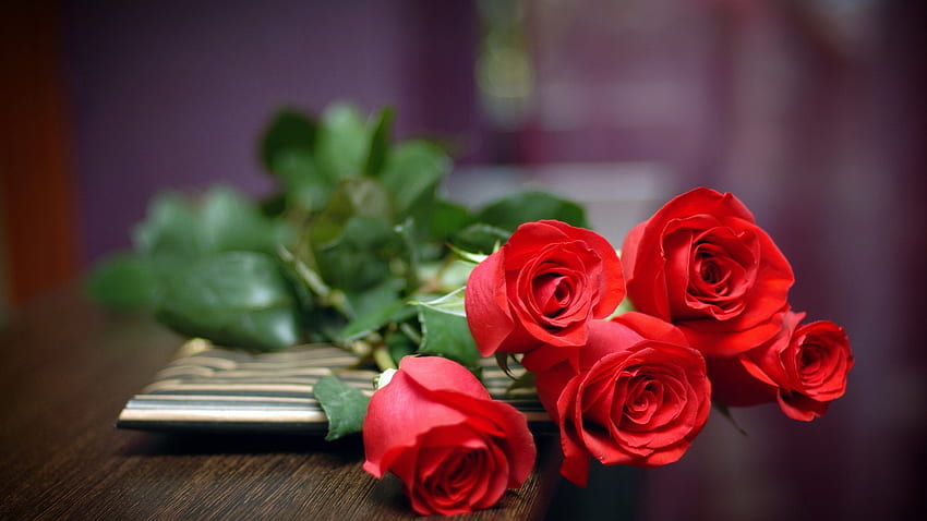 Czerwone Róże Miłości Na Stołowym Tle Tapeta HD