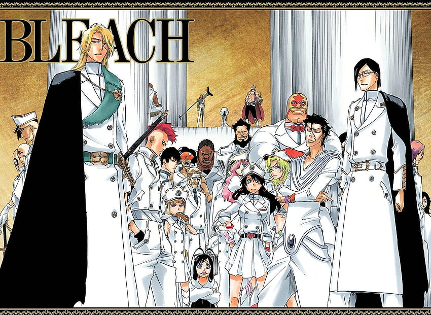 Candeggina. Bleach personagens, Bleach anime, Mangá bleach, Bleach Quincy Sfondo HD