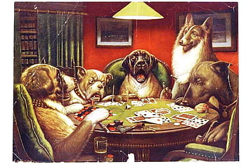 Dogs playing poker HD wallpapers  Pxfuel