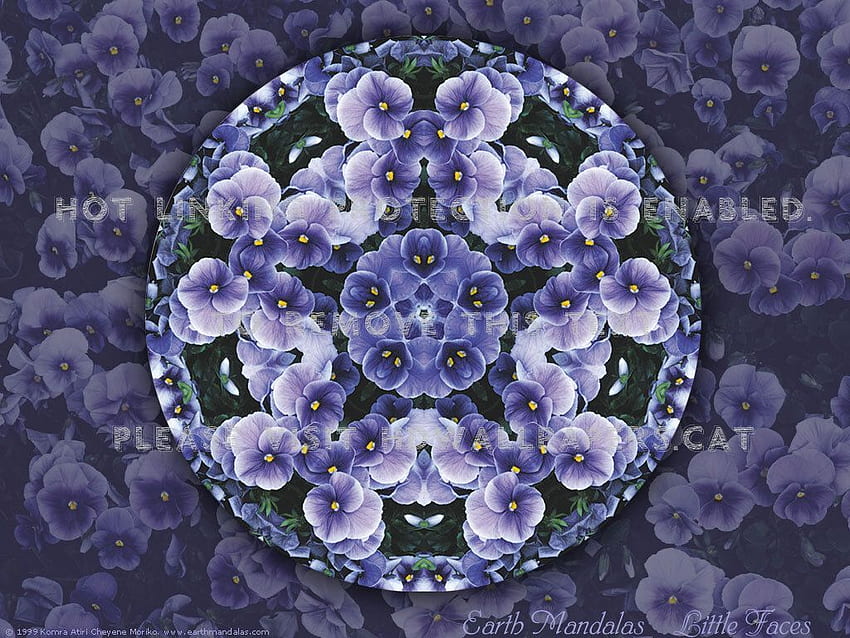 mandala pansies purple abstract designs 3D HD wallpaper