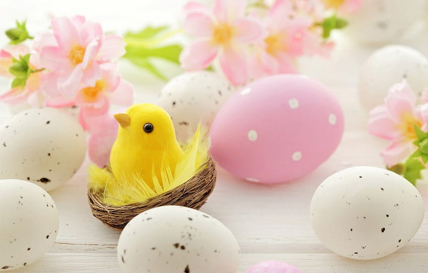 bunga, telur, Paskah, soket, bunga, musim semi, Paskah, telur untuk , bagian праздники, Easter Peeps Wallpaper HD