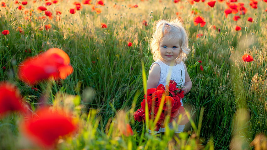Blue, Eyes, White, Dress, Red, Common, Poppy, Flowers, Grass, Field, Sunlight, Daytime Cute HD wallpaper