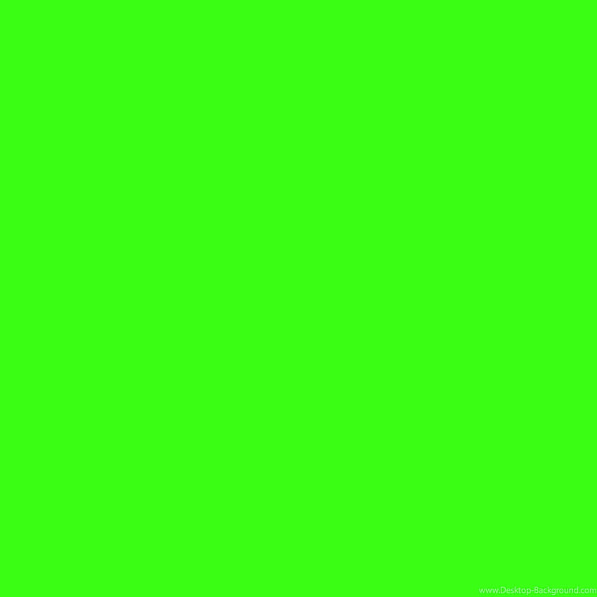 Fester Neonfarbenhintergrund, schwarzer Neonkörper HD-Handy-Hintergrundbild