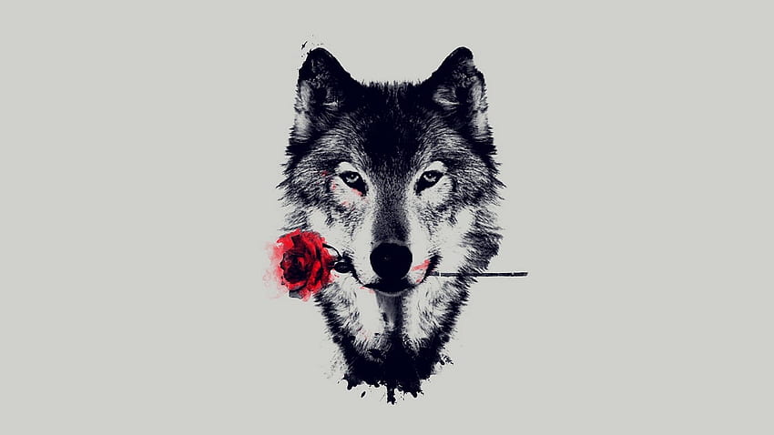 Abstract Wolf, Geometric Animal HD wallpaper