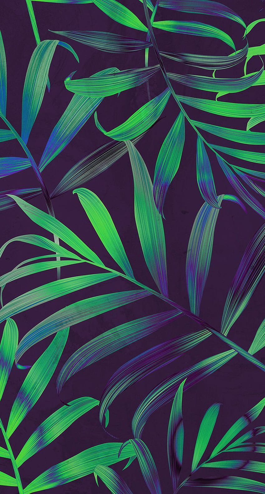 Palm leaves - . Leaf , Nature , Pattern, Tropical Leaf HD phone wallpaper