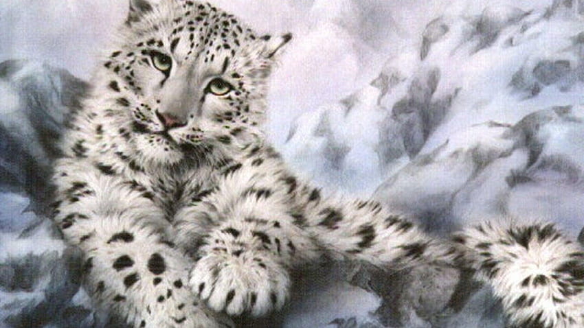 Leopardo delle nevi, leopardo bianco Sfondo HD