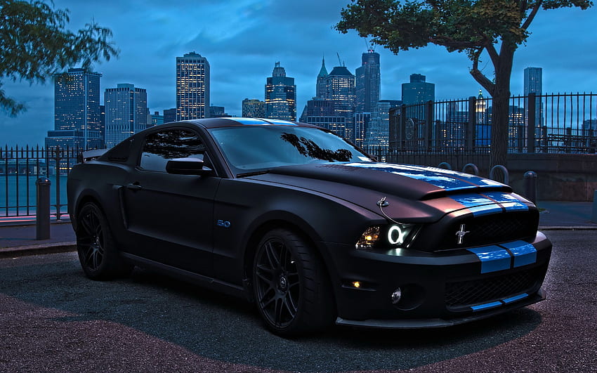 Shelby Mustang. Ford Mustang Shelby GT 500 Preto papel de parede HD