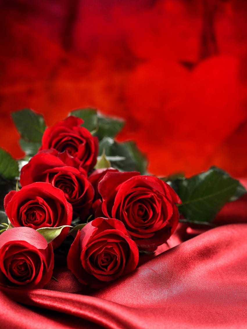 Love Bouquet Flowers Red Roses Best [] for your , Mobile & Tablet. Разгледайте цветето на розите. Цветя от рози, печат на цветя HD тапет за телефон