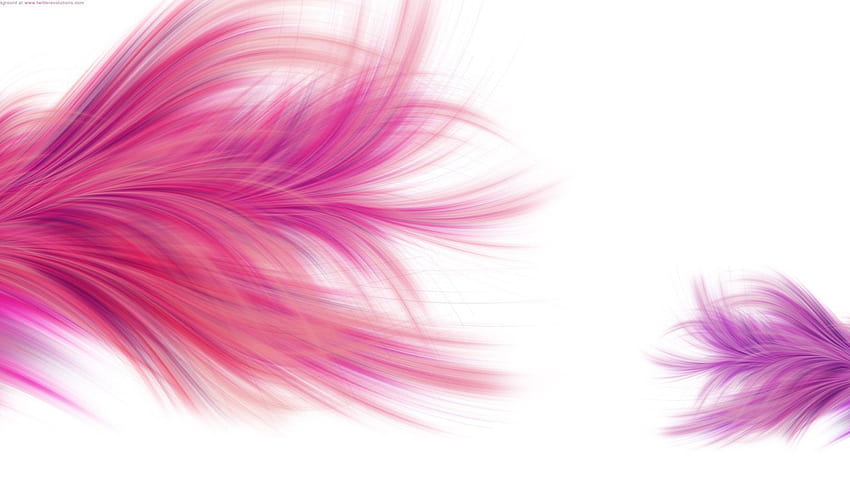 Pink Purple Feathers White Background Abstrak . Wallpaper HD