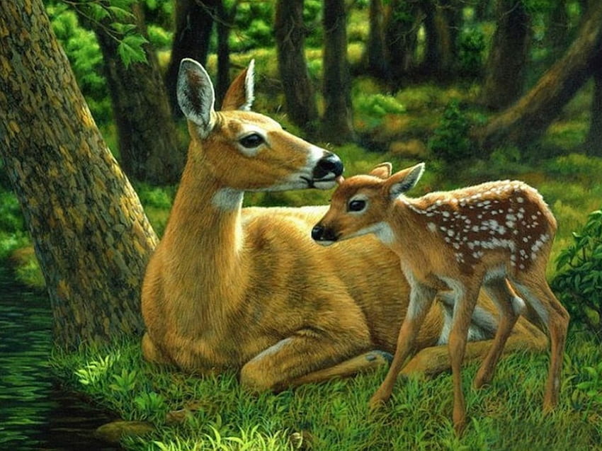 Mother love, kitz, colors, beautiful, bambi, love, deer, mother, nature, splendor, lovely, forest HD wallpaper