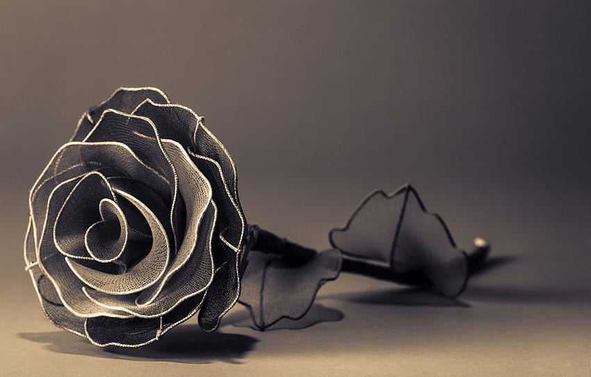 flowers, background, , black and white, , rose, petals, , , background, full screen, , flower, , fullscreen, artificial for , section цветы HD wallpaper