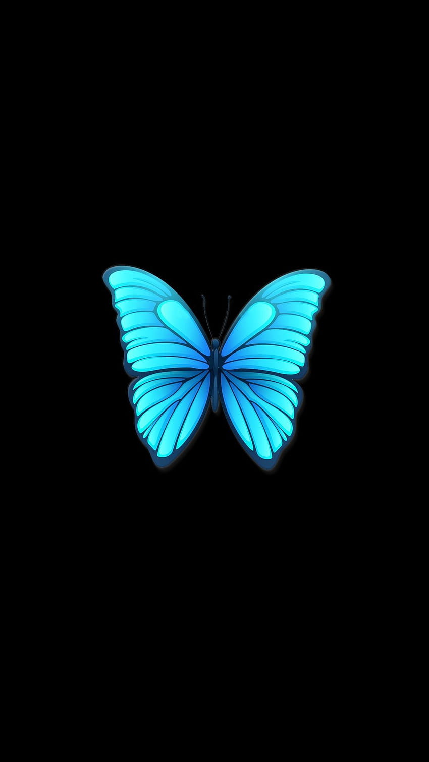 Amoled 14. Motylek iPhone, Butterfly, turkusowy i czarny Tapeta na telefon HD