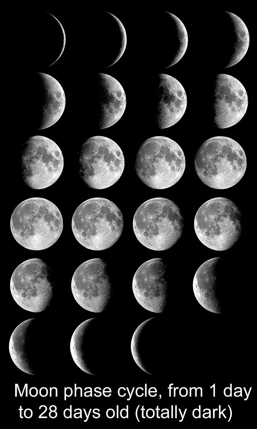 Montage of of Moon each night for one 28 day cycle [] for your , Mobile & Tablet. Explore Phases of the Moon . G Eazy HD phone wallpaper