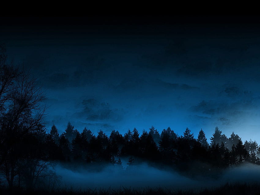 Drzewa, Noc, Ciemność, Mgła, Jadłem Tapeta HD