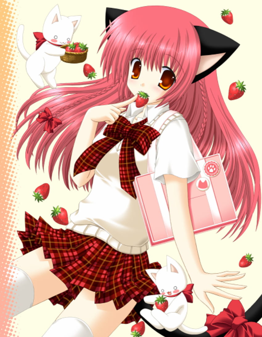 Cat girl kawaii anime cute HD wallpapers | Pxfuel