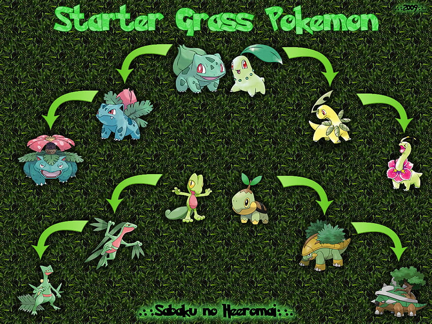 Pokemon, bulbasaur, treeko, chikorita, grass, turtwig HD wallpaper