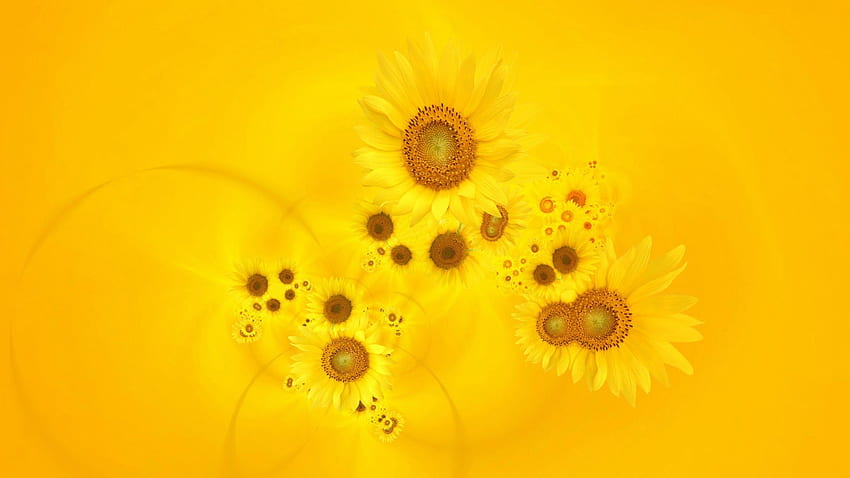 Abstract Yellow Sunflowers, abstract, sunflowers, yellow, flowers, bunch HD wallpaper