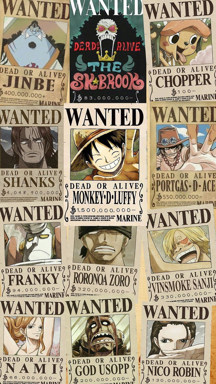 One Piece Bounty. kartun, Kartun, Gambar, Bounty Franky HD phone wallpaper