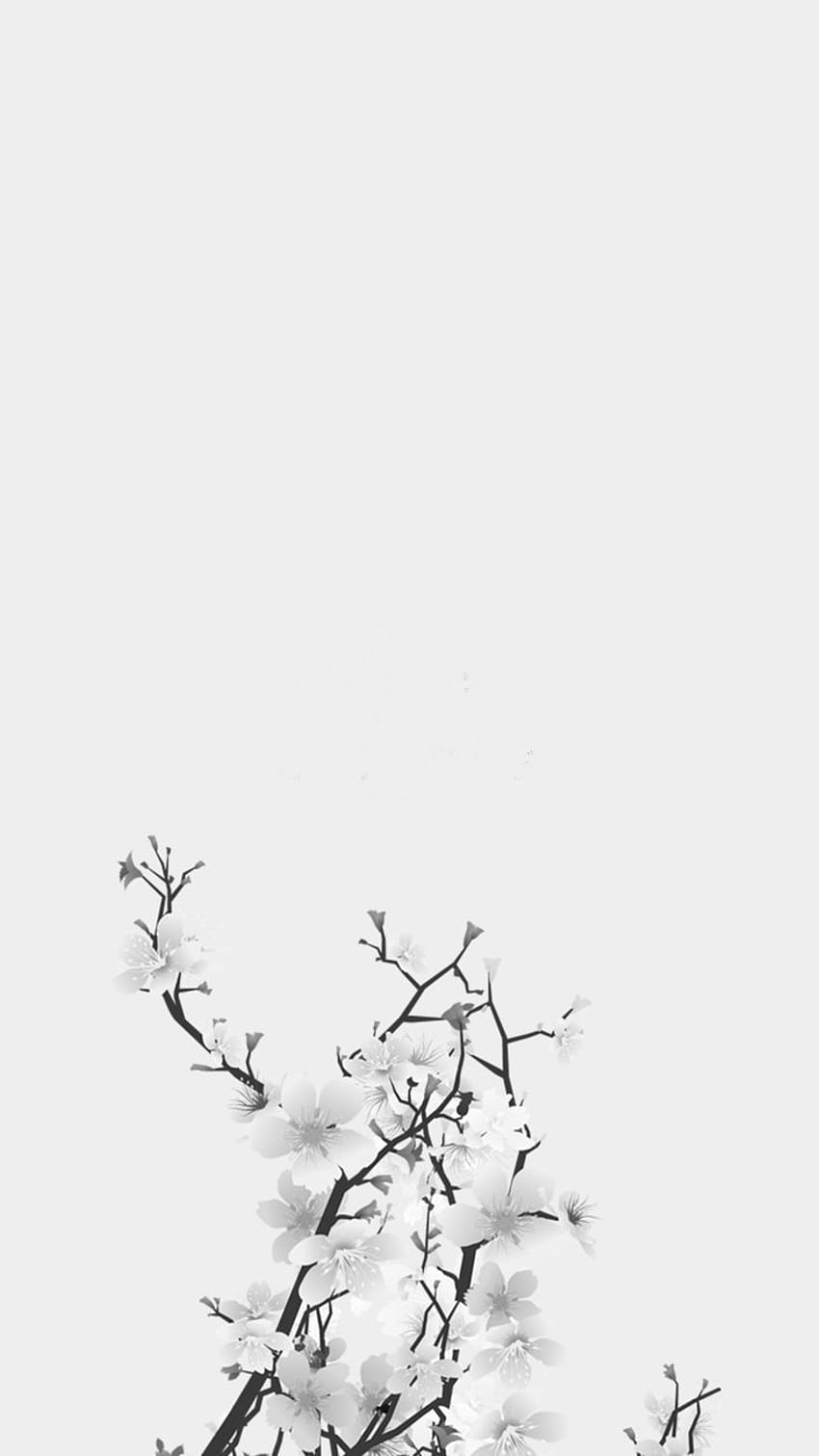 White background, white flowers, removed text, life, Black and White  Aesthetic Flower HD phone wallpaper | Pxfuel