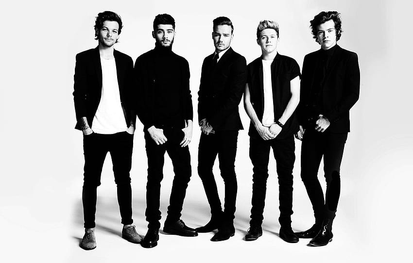 Harry Styles, Liam Payne. t, One Direction Black and White HD wallpaper