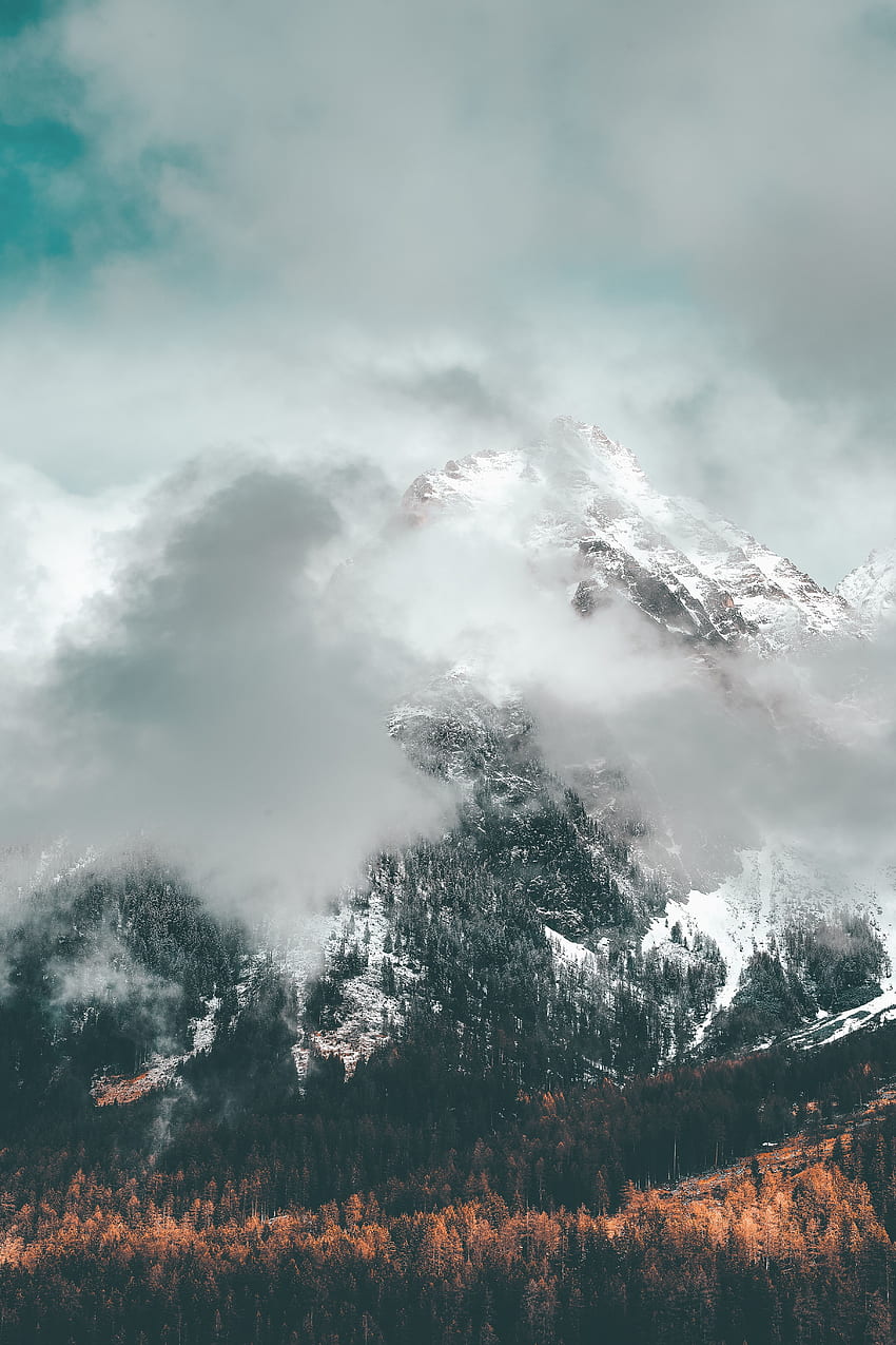 природа, планини, облаци, връх, връх, гора, покрити със сняг, заснежени, наклон HD тапет за телефон