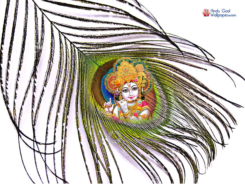 Krishna Mor Pankh HD wallpaper