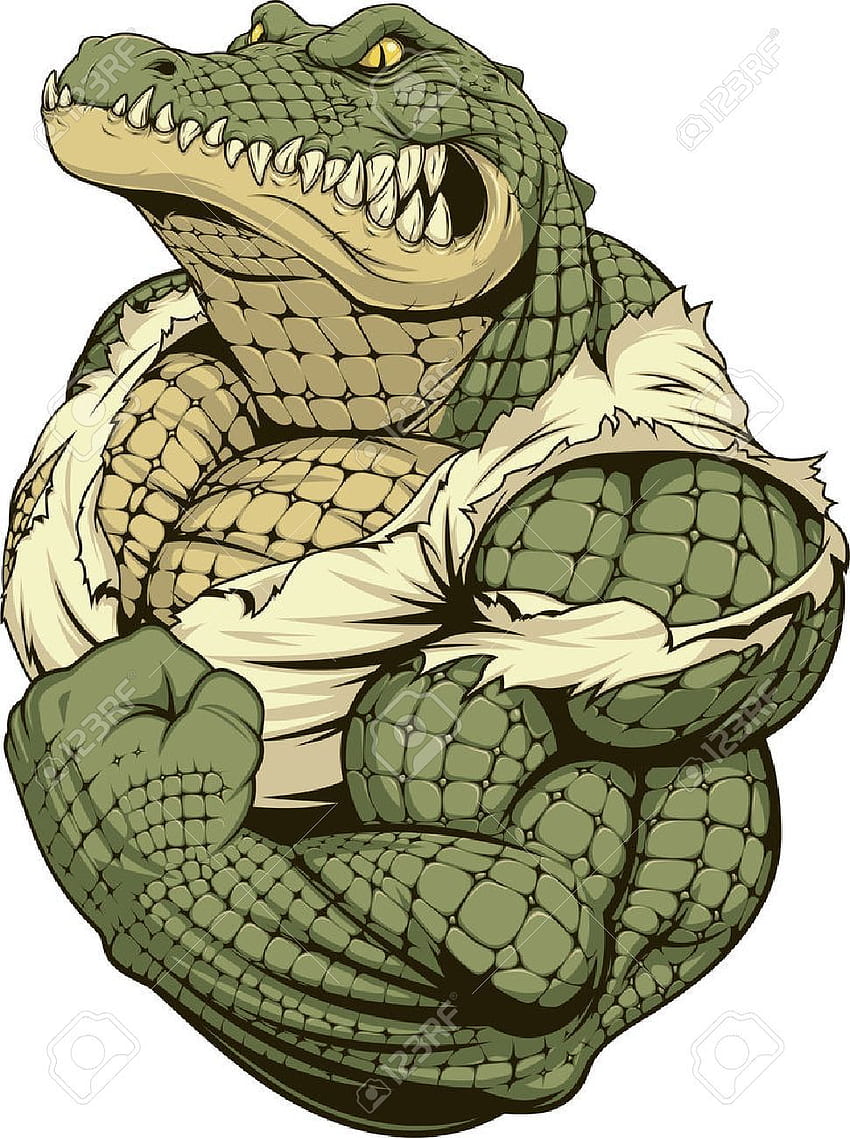 Vector illustration, a ferocious alligator bodybuilder athlete. Crocodile illustration, Cartoon art, Character design, Bodybuilding Cartoon HD phone wallpaper