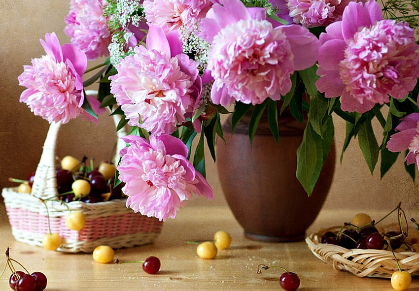 Still Life, graphy, peonies, beauty, basket, petals, pink petals, sweet, cherries, peony, romance, beautiful, fruits, pink, pretty, cherry, pink peonies, nature, romantic, pink flowers, flowers, lovely HD wallpaper