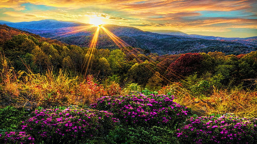 Blue Ridge Mountains al confine tra Tennessee e North Carolina, tramonto, alberi, colori, paesaggio, nuvole, cielo, sole, usa Sfondo HD