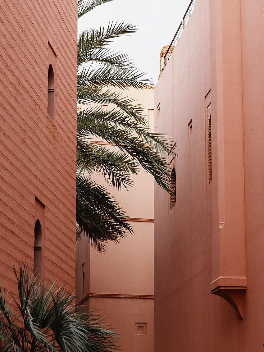 Quietude in Marrakech. , Marrakech, Instagram, Marrakesch HD phone wallpaper