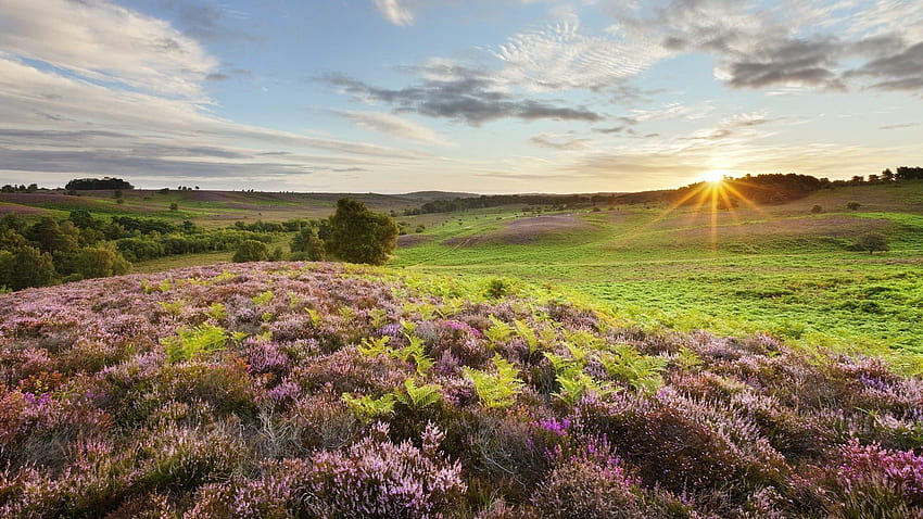 Englische Landschaft., England Landschaft HD-Hintergrundbild