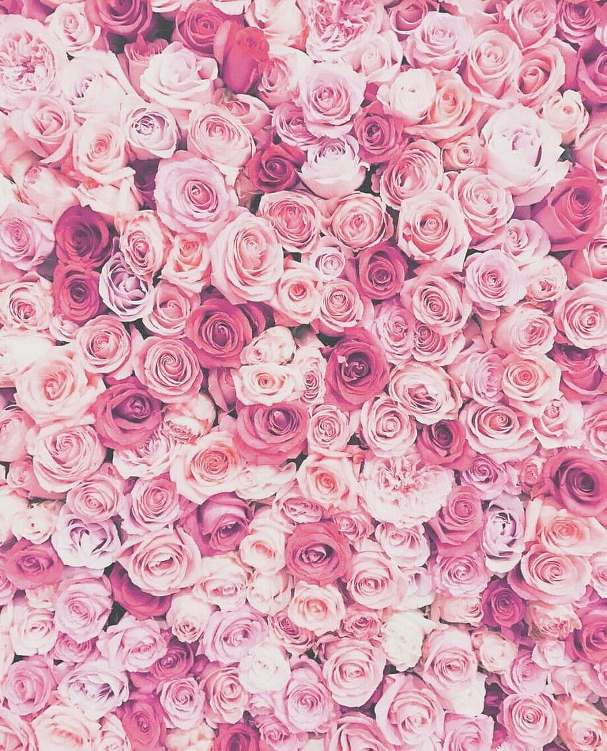tumblr backgrounds flowers