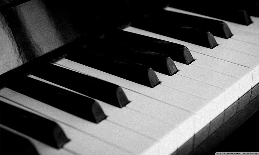 Piano 2 – Pure Musician, Black Piano HD wallpaper | Pxfuel