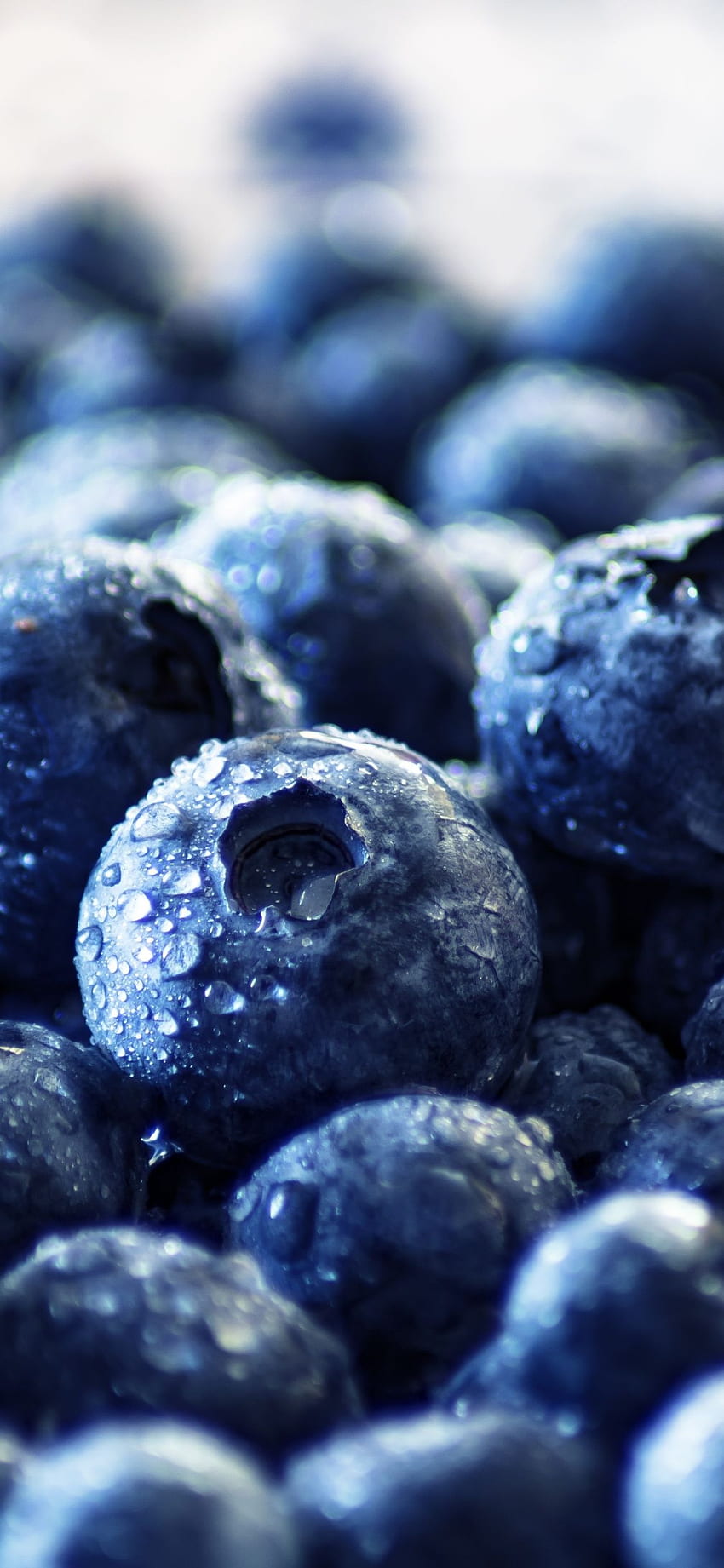 fresh, fruits, blueberry, drops HD phone wallpaper