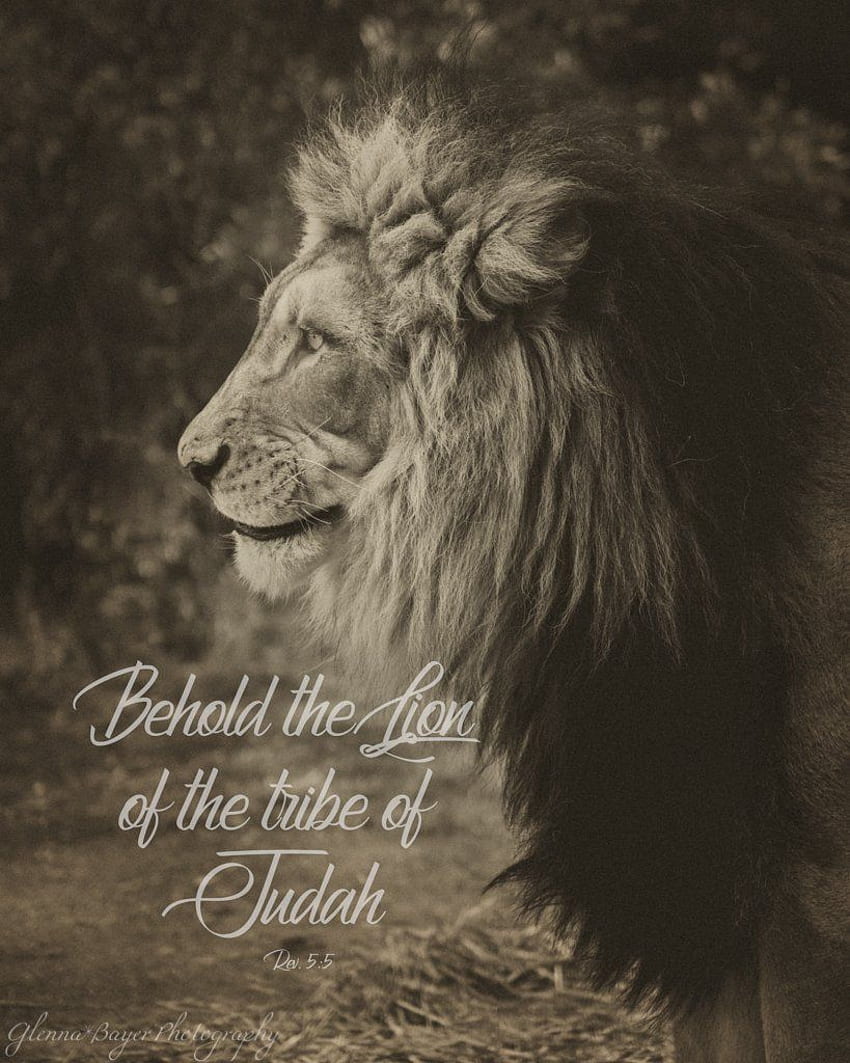 Singa Yehuda (0440 1) Tahun 2021. Singa Yehuda Yesus, Singa Yehuda, Suku Yehuda, Alkitab Motivasi Singa wallpaper ponsel HD