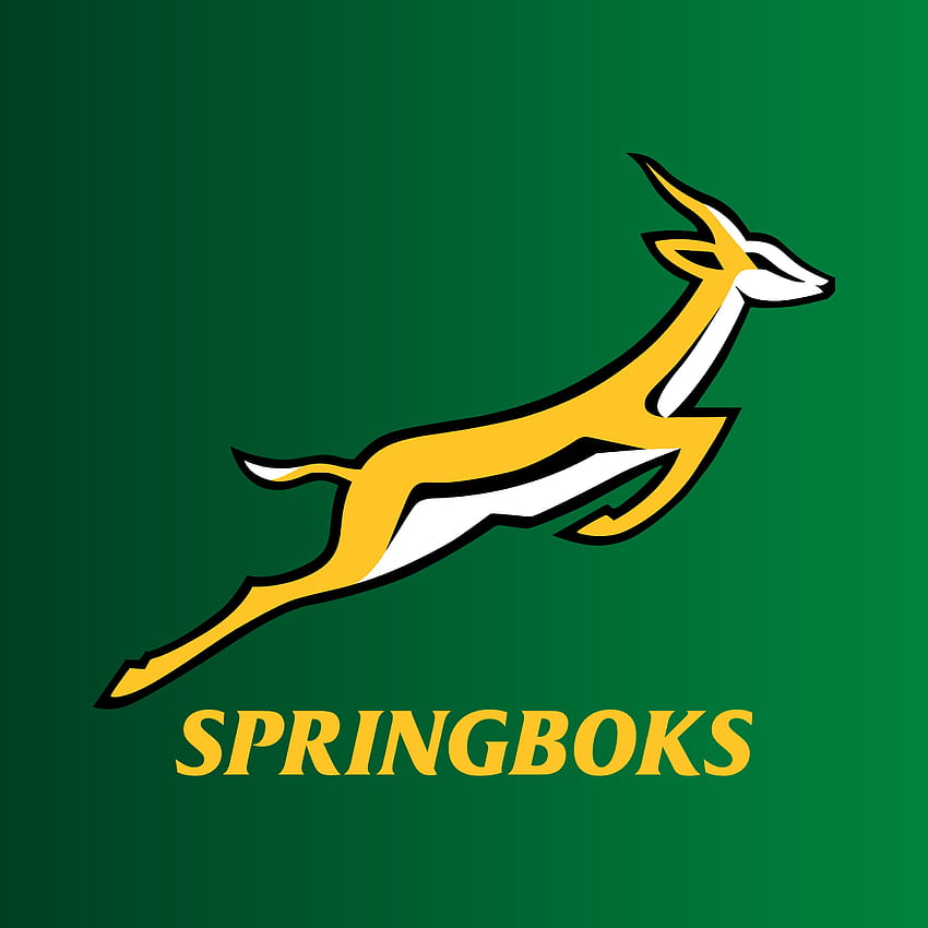 gacela Antílope Springbok, Sudáfrica Rugby fondo de pantalla del teléfono