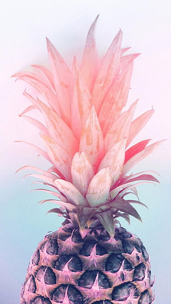 Pink Pineapple patterns pine HD phone wallpaper  Peakpx