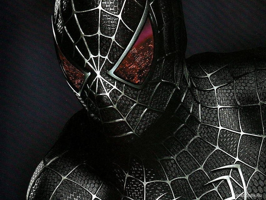 Hombre Araña Negro, Hombre Araña Negro fondo de pantalla | Pxfuel