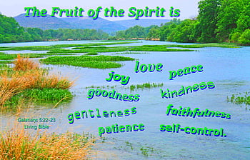 Discover more than 87 fruit of the spirit wallpaper super hot - in ...