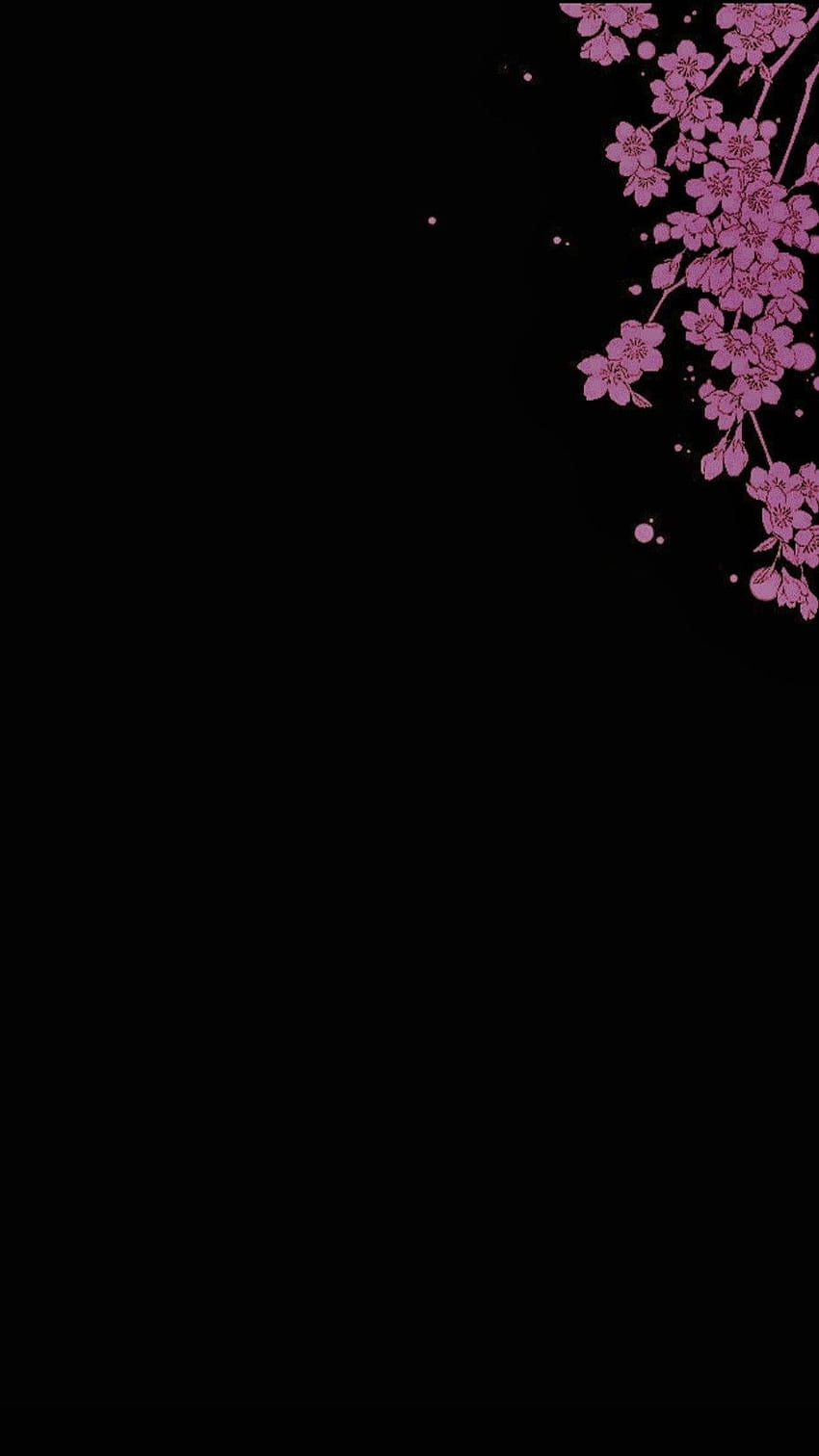 さくら。 桜、暗い背景、花の背景、暗い桜 HD電話の壁紙