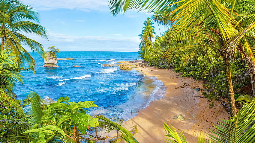 Spiaggia del Manzanillo Wildlife Refuge, Limón, Costa Rica. Riflettori su Windows 10 Sfondo HD