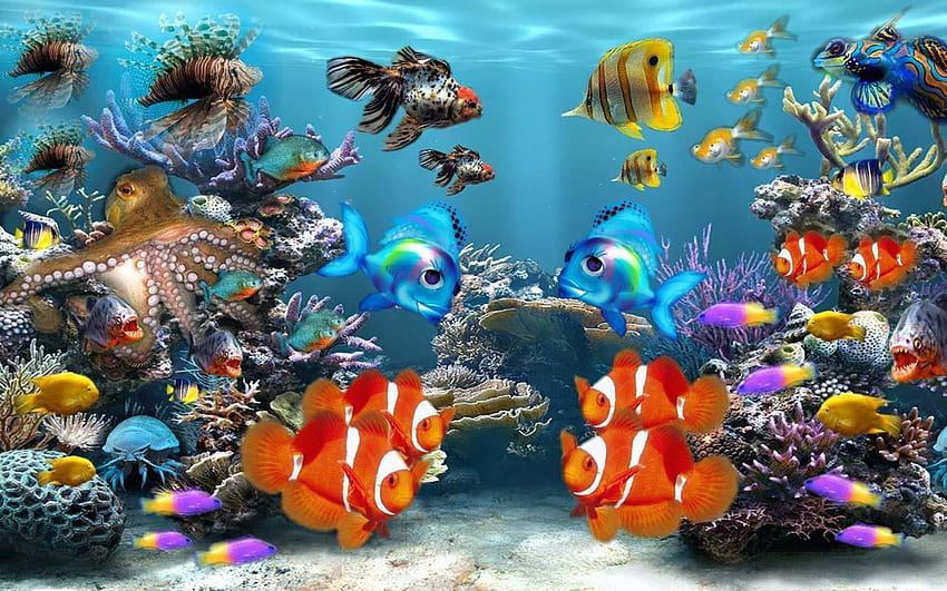 Aquarium for android HD wallpapers | Pxfuel