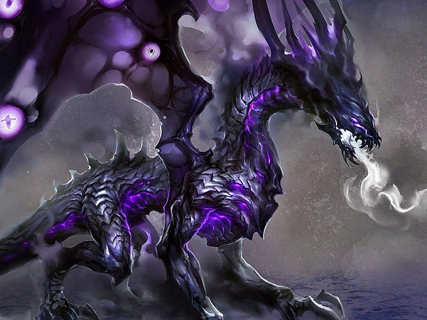 Magische Drachen, lila Drachen HD-Hintergrundbild